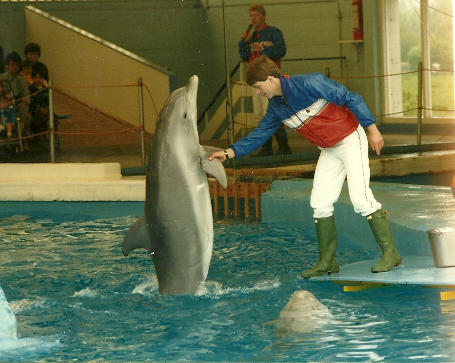 Dolphin Show 1985