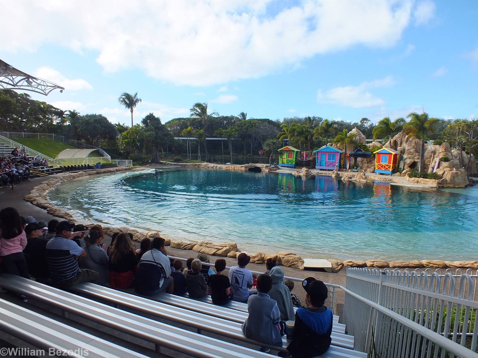 Dolphin Show Area