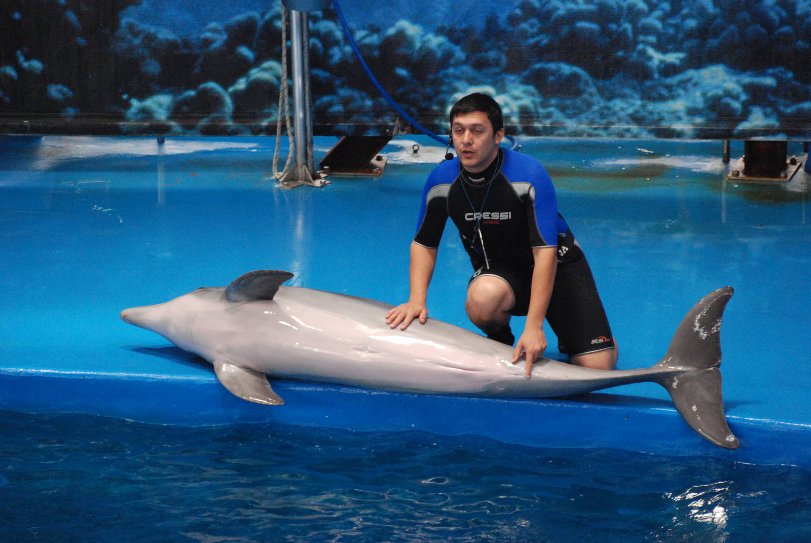 Dolphin Show at Barcelona, 30/05/11