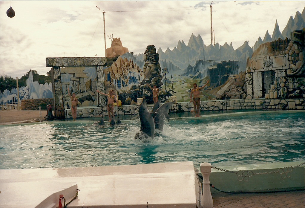 Dolphin Show - Atlantis Marine Park, Western Australia