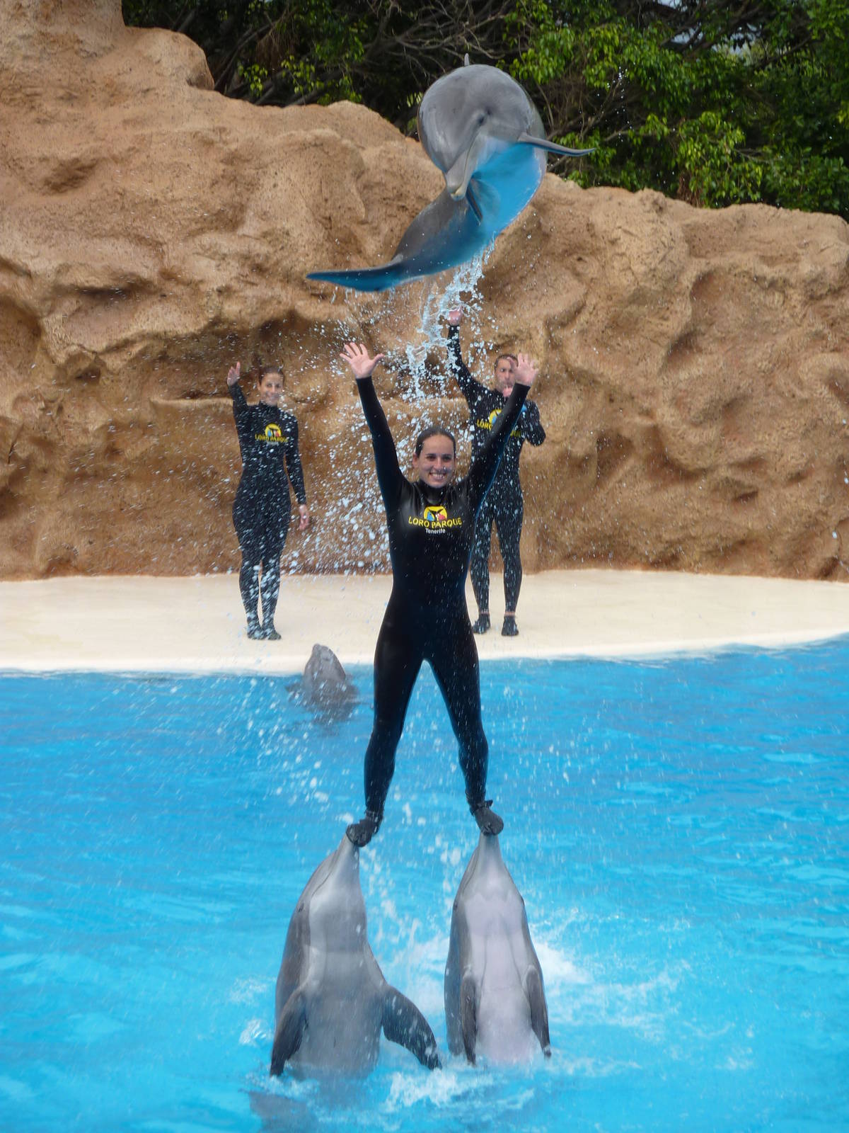 Dolphin show, December 2012