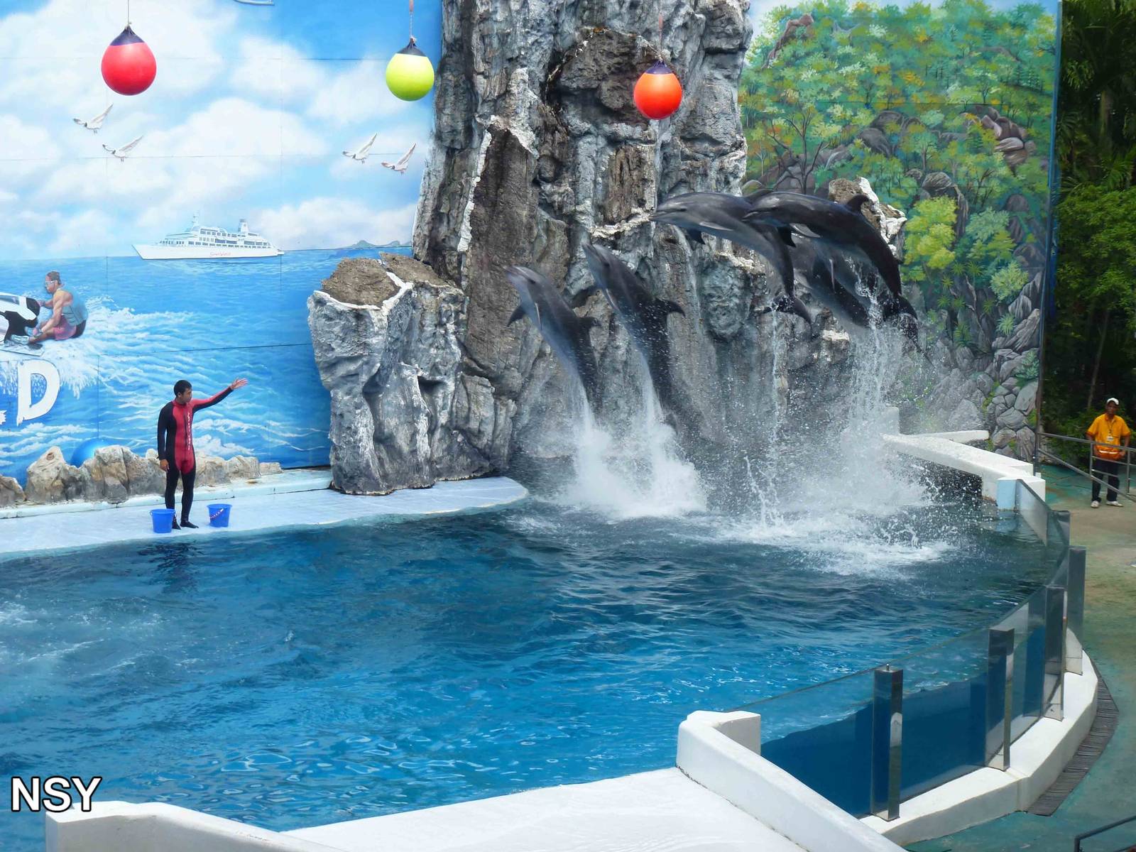 Dolphin show, June 2013.