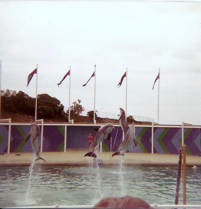 Dolphin Show - Marineland of the Pacific - January 1977 (Closed 1987)