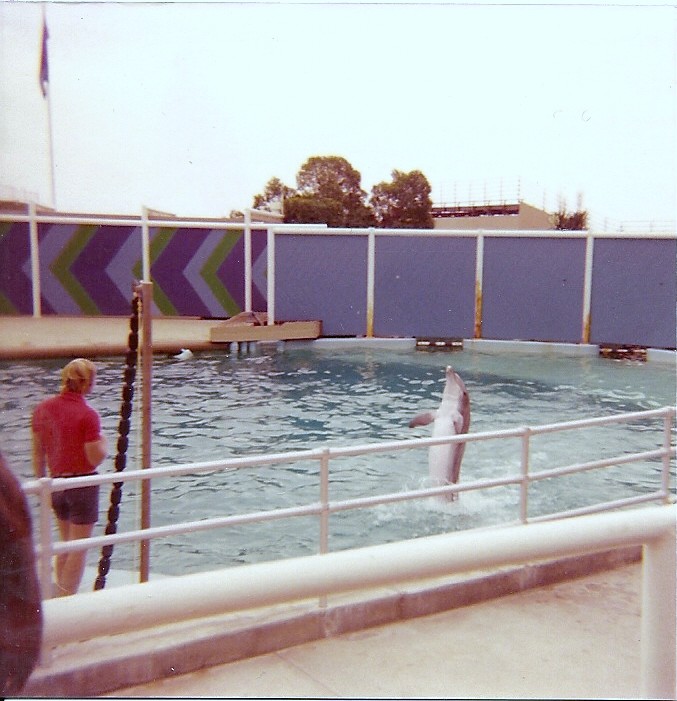 Dolphin Show - Marineland of the Pacific - January 1977 (Closed 1987)