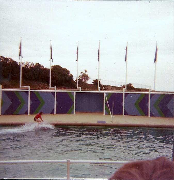 Dolphin Show - Marineland of the Pacific - January 1977 (Closed 1987)