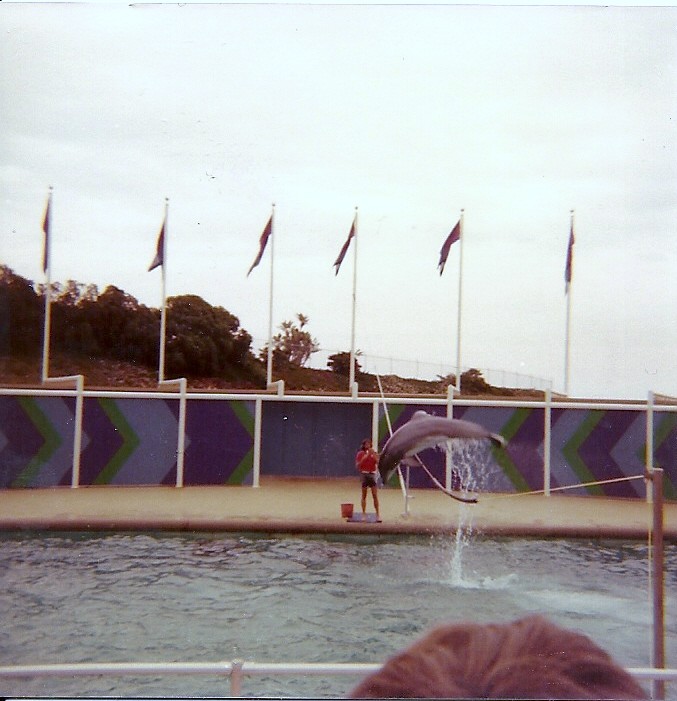 Dolphin Show - Marineland of the Pacific - January 1977 (Closed 1987)