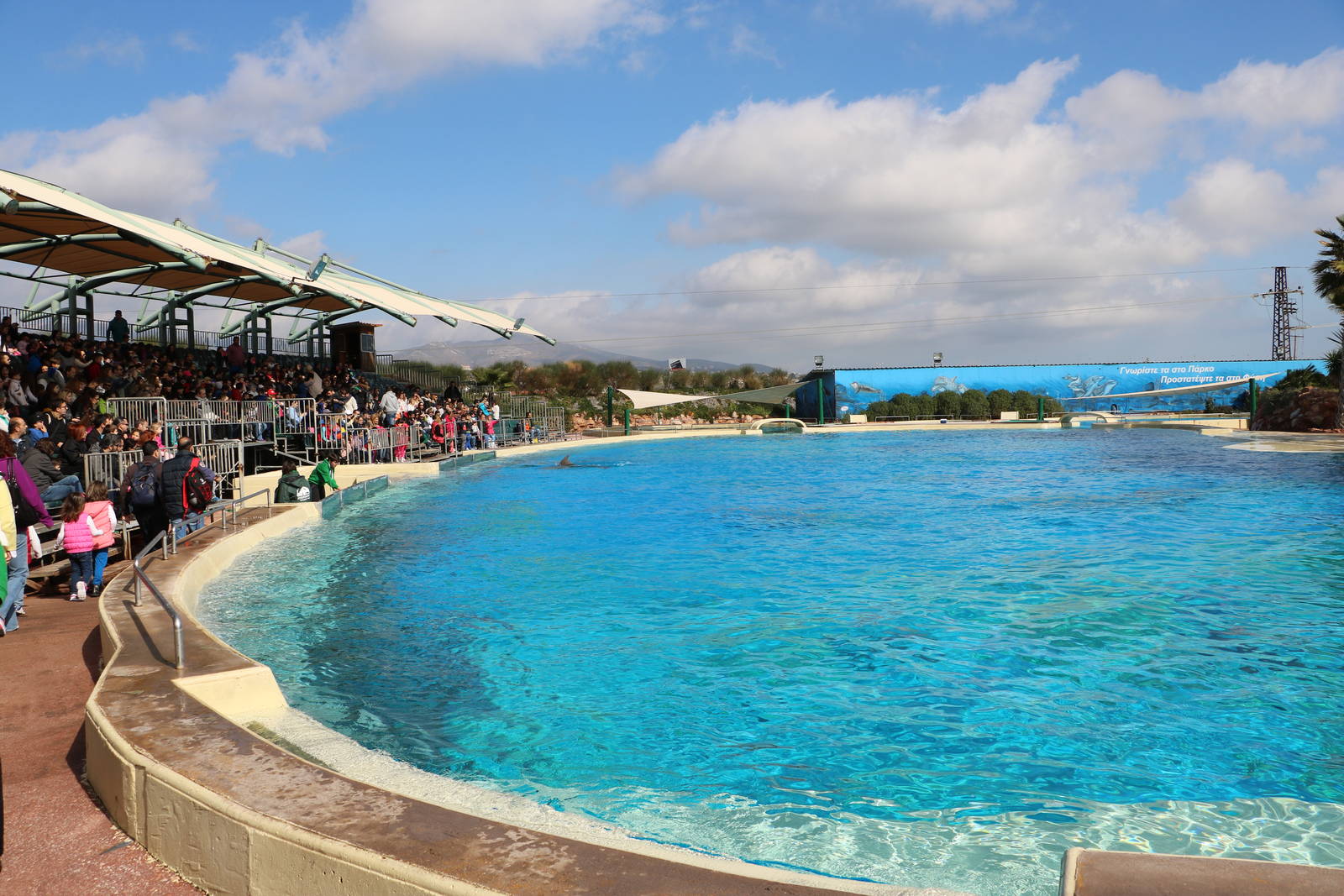 Dolphin show pool, February 2016