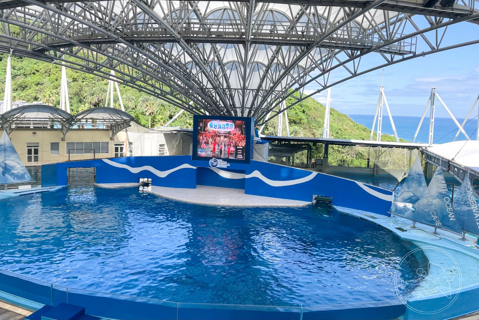 Dolphin Show Pool