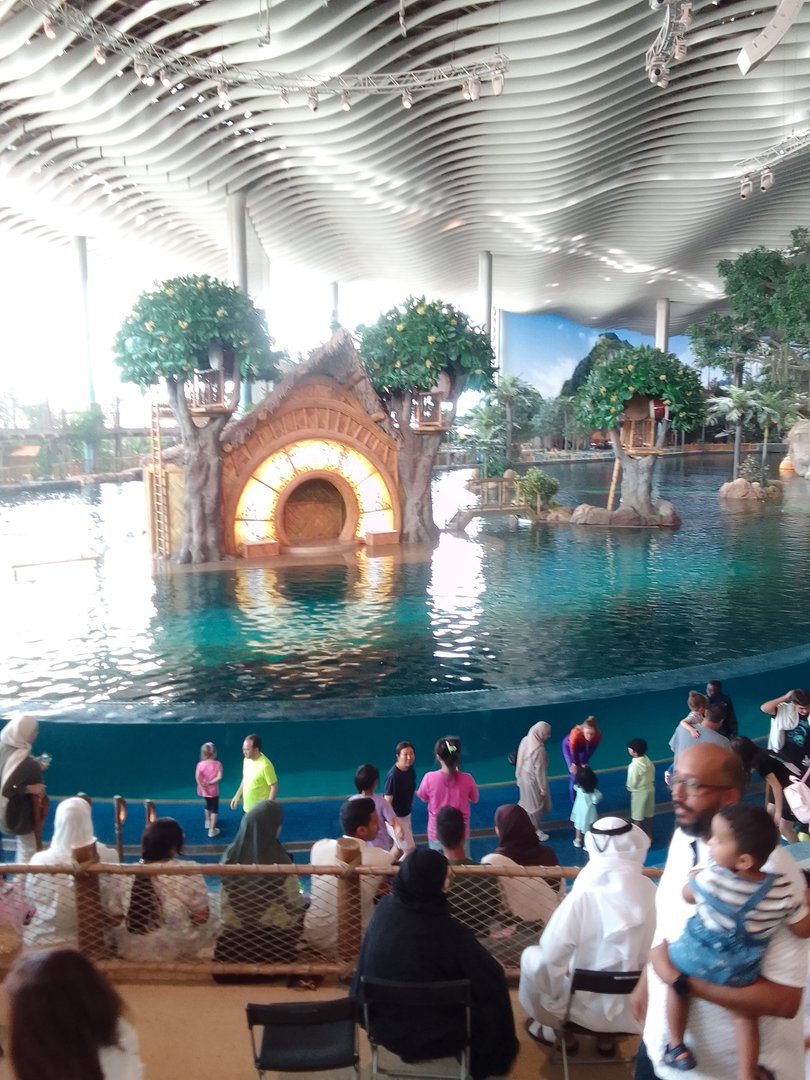 Dolphin show stage SeaWorld Abu Dhabi