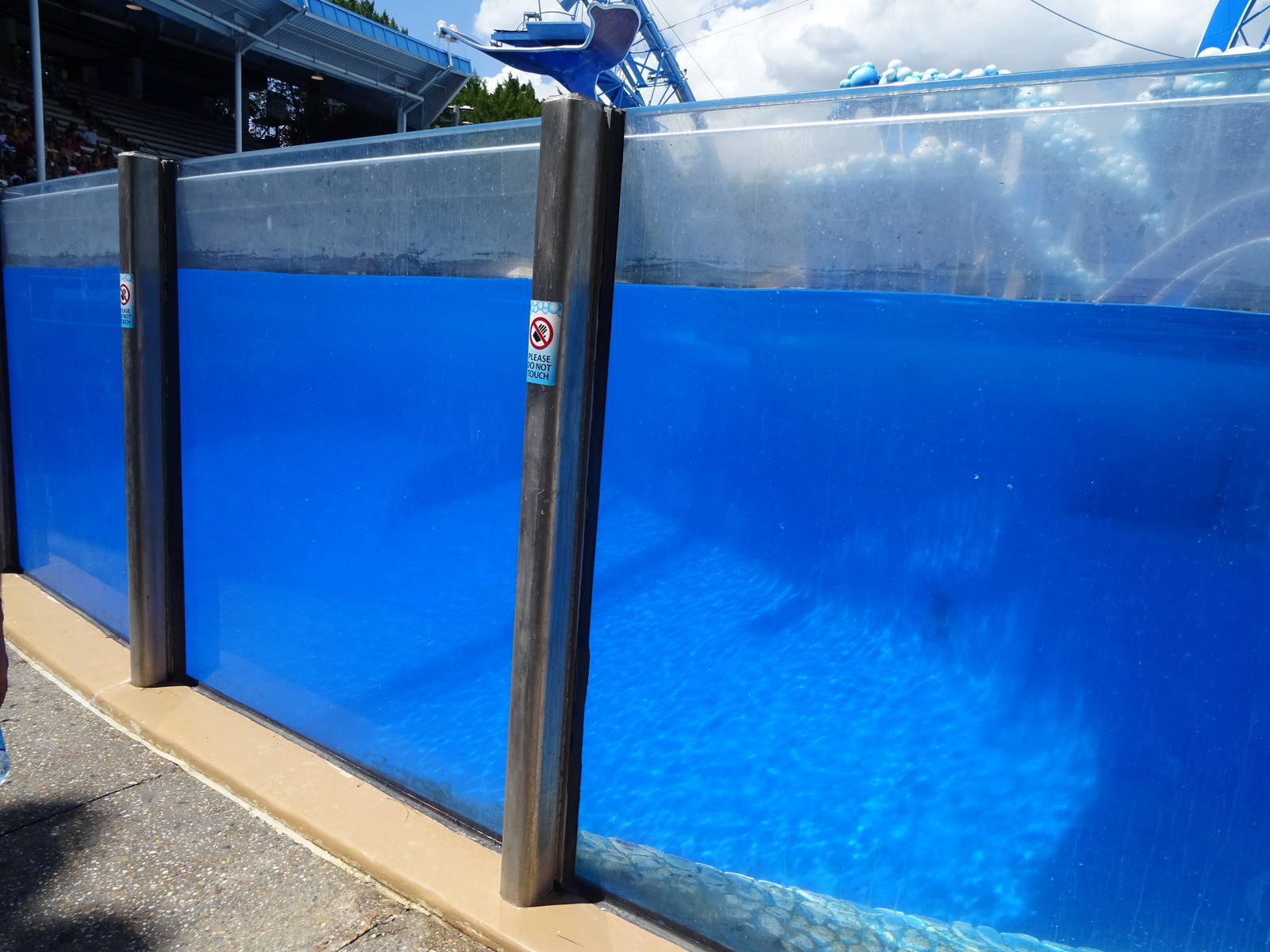 Dolphin Show Tank at SeaWorld Orlando