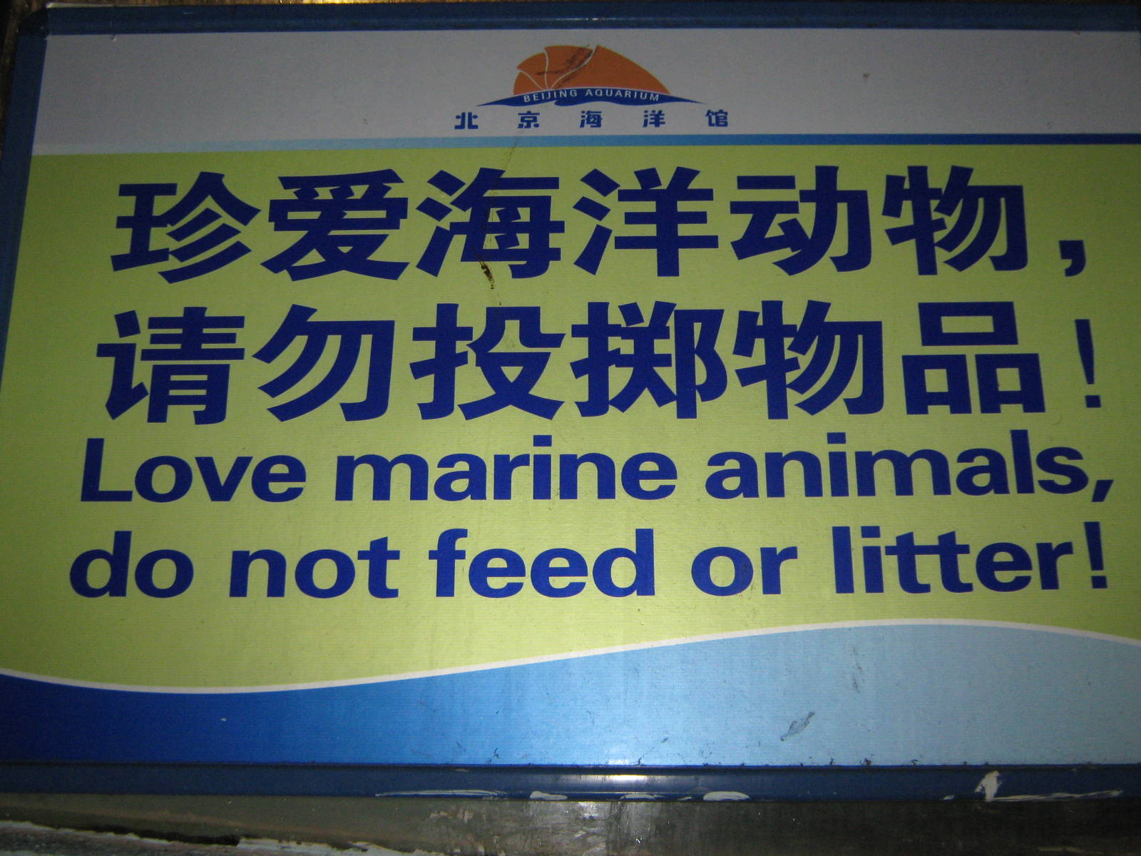 dolphin signage