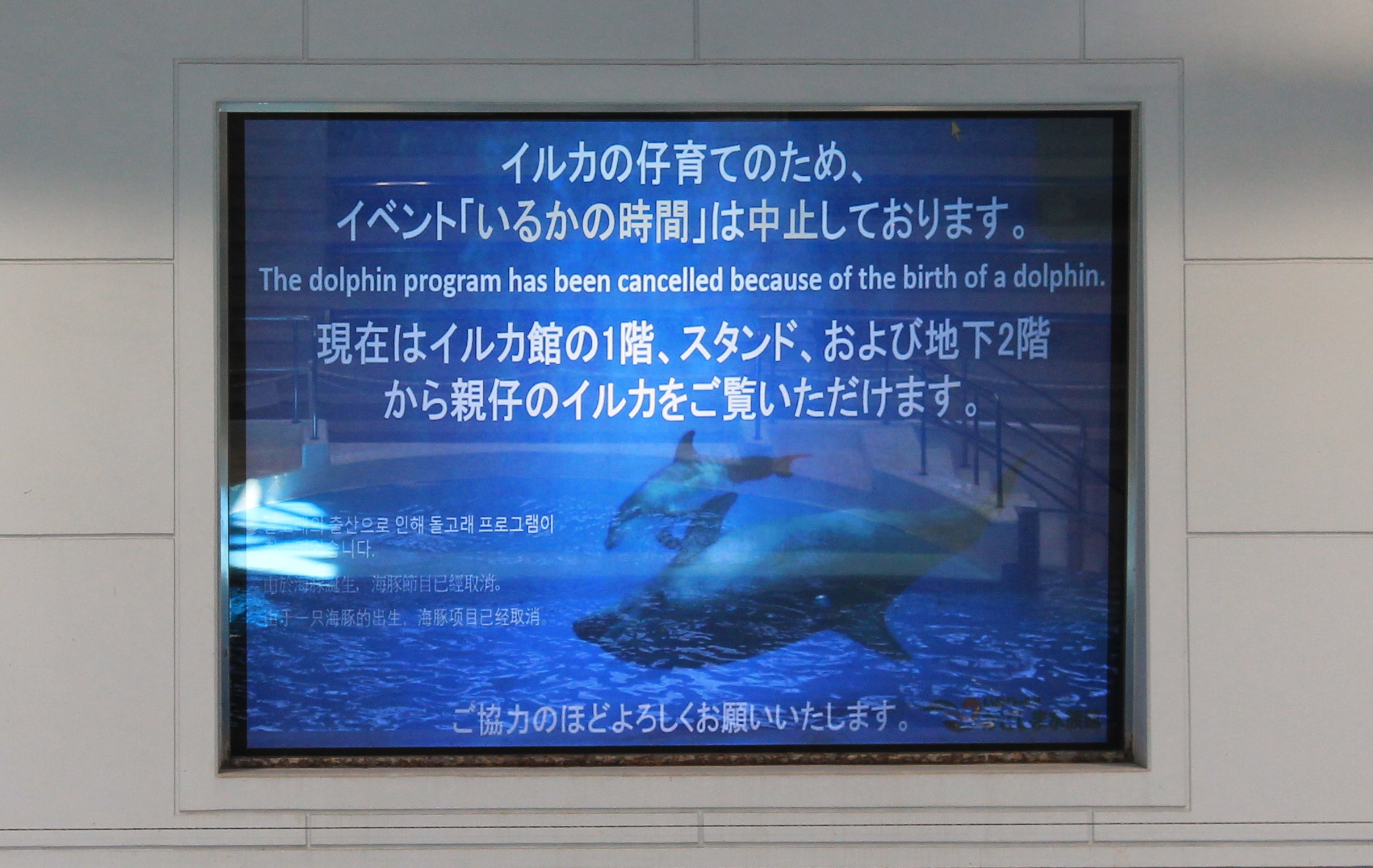 Dolphin signage
