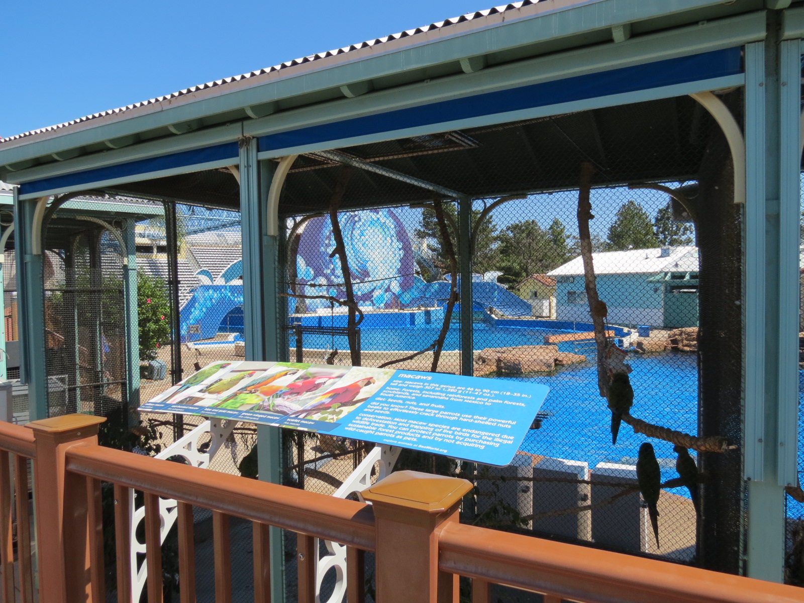 Dolphin Stadium - Blue Horizons Show - Macaw Holding Cages
