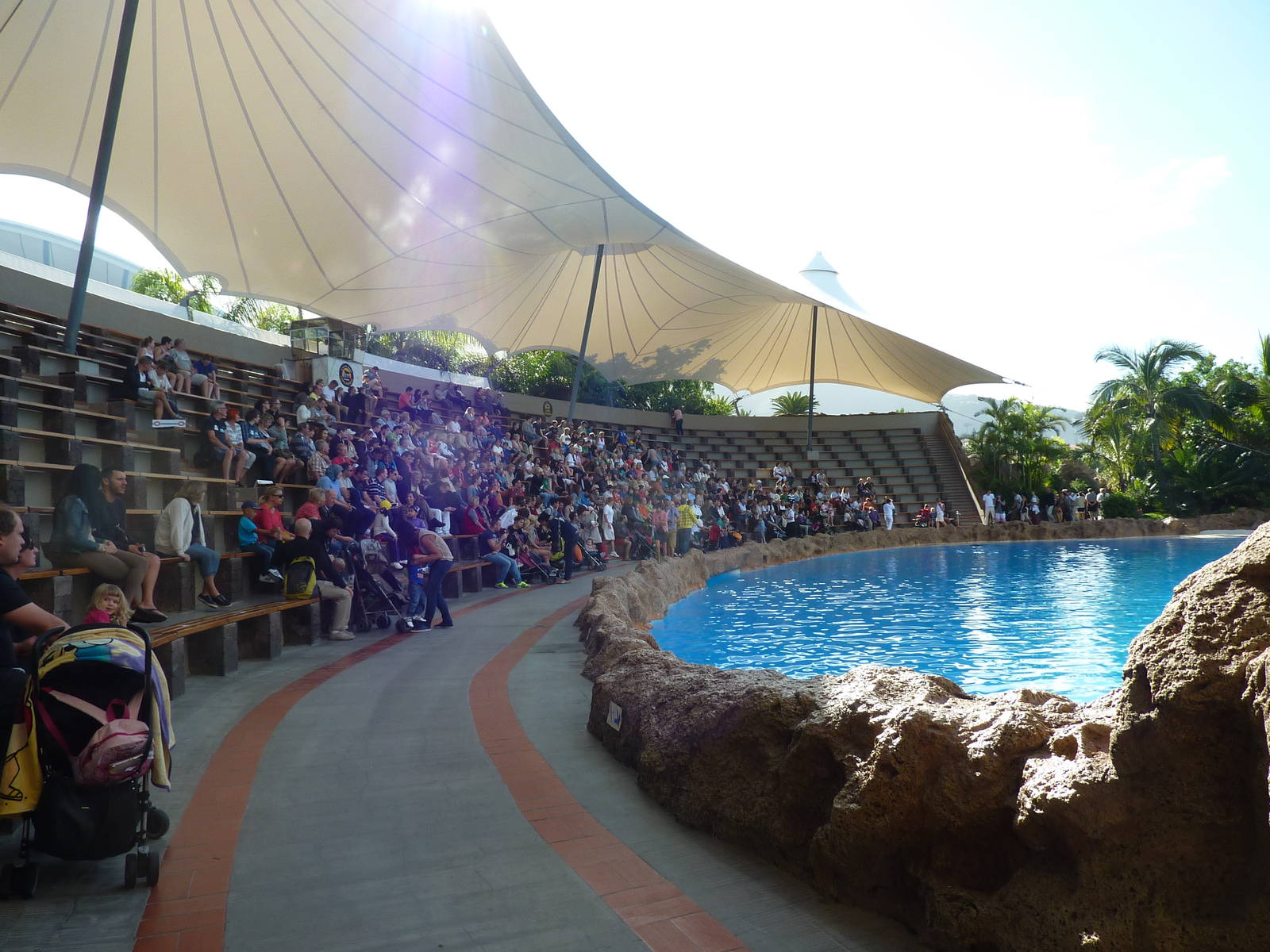 Dolphin stadium, December 2012