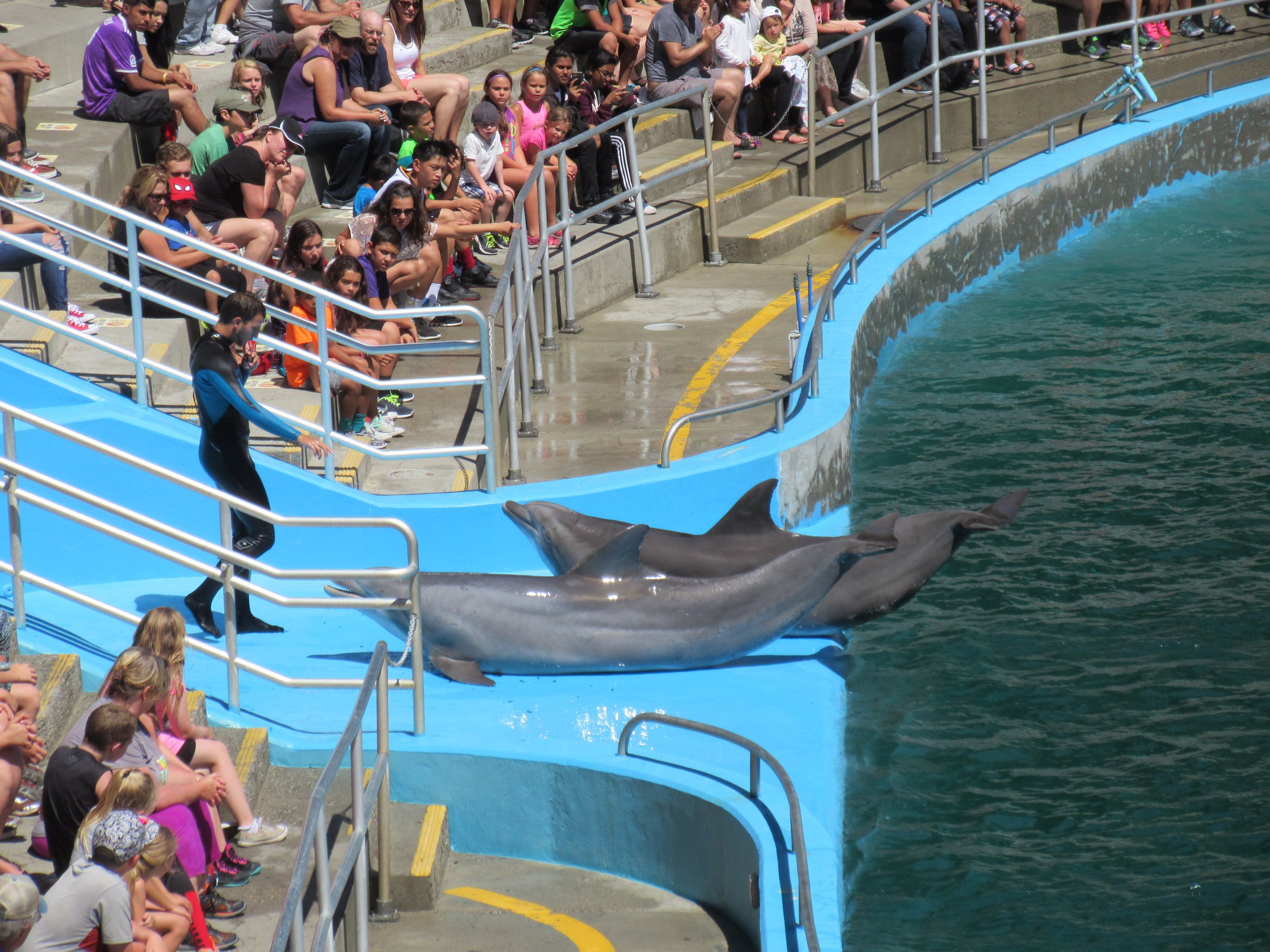 Dolphin Stadium - Drench!