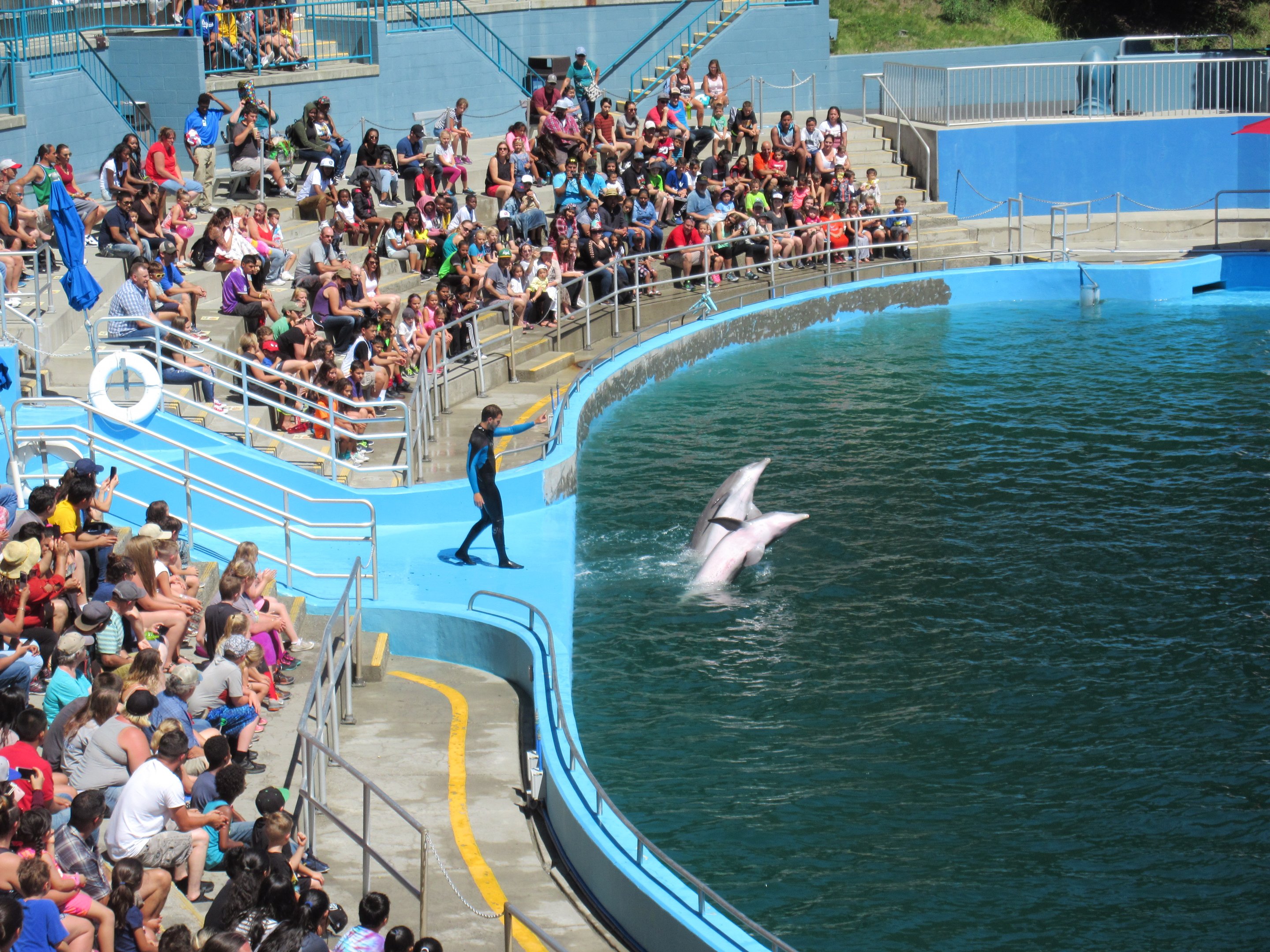 Dolphin Stadium - Drench!