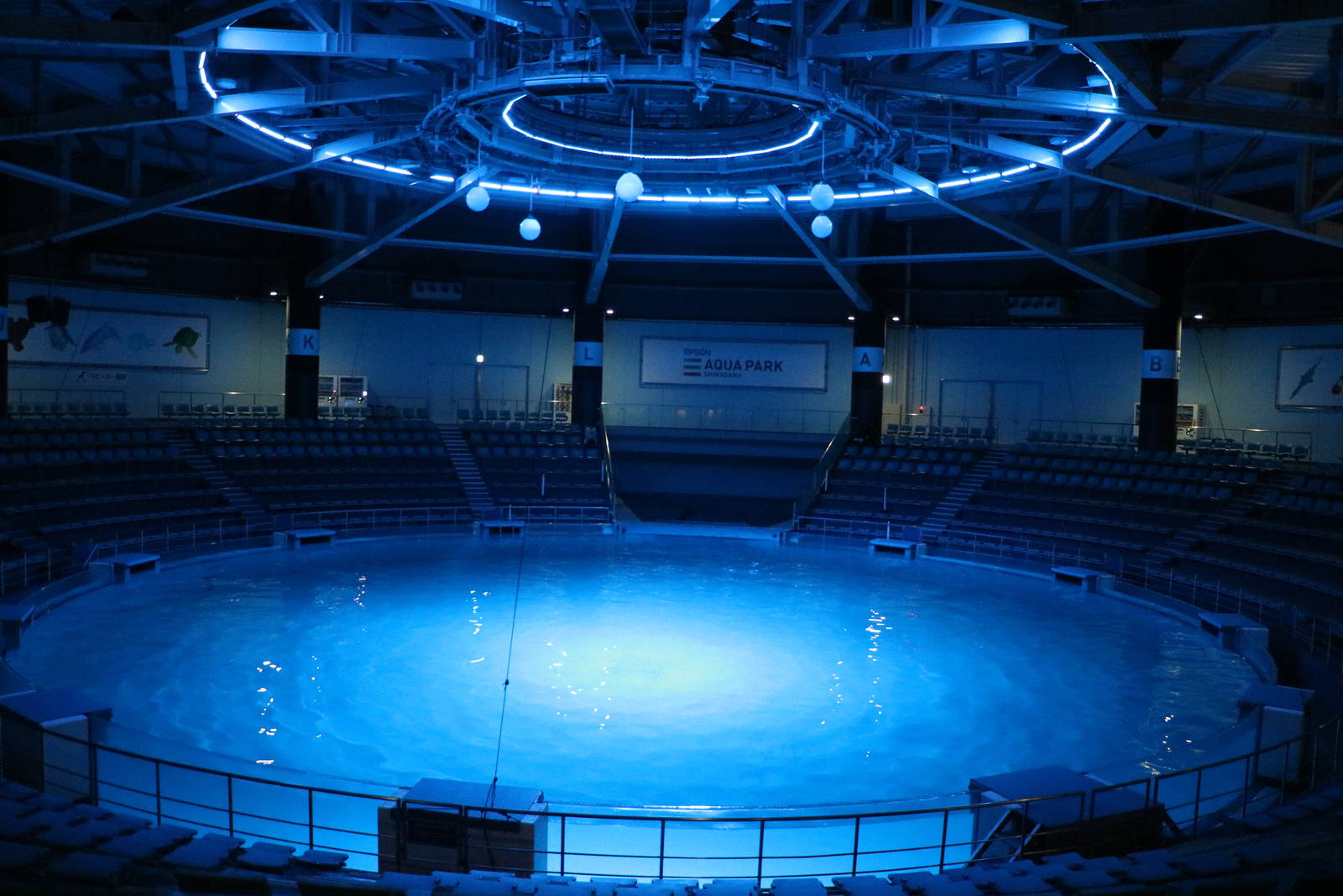 Dolphin stadium - EPSON Aqua Park, February 2016