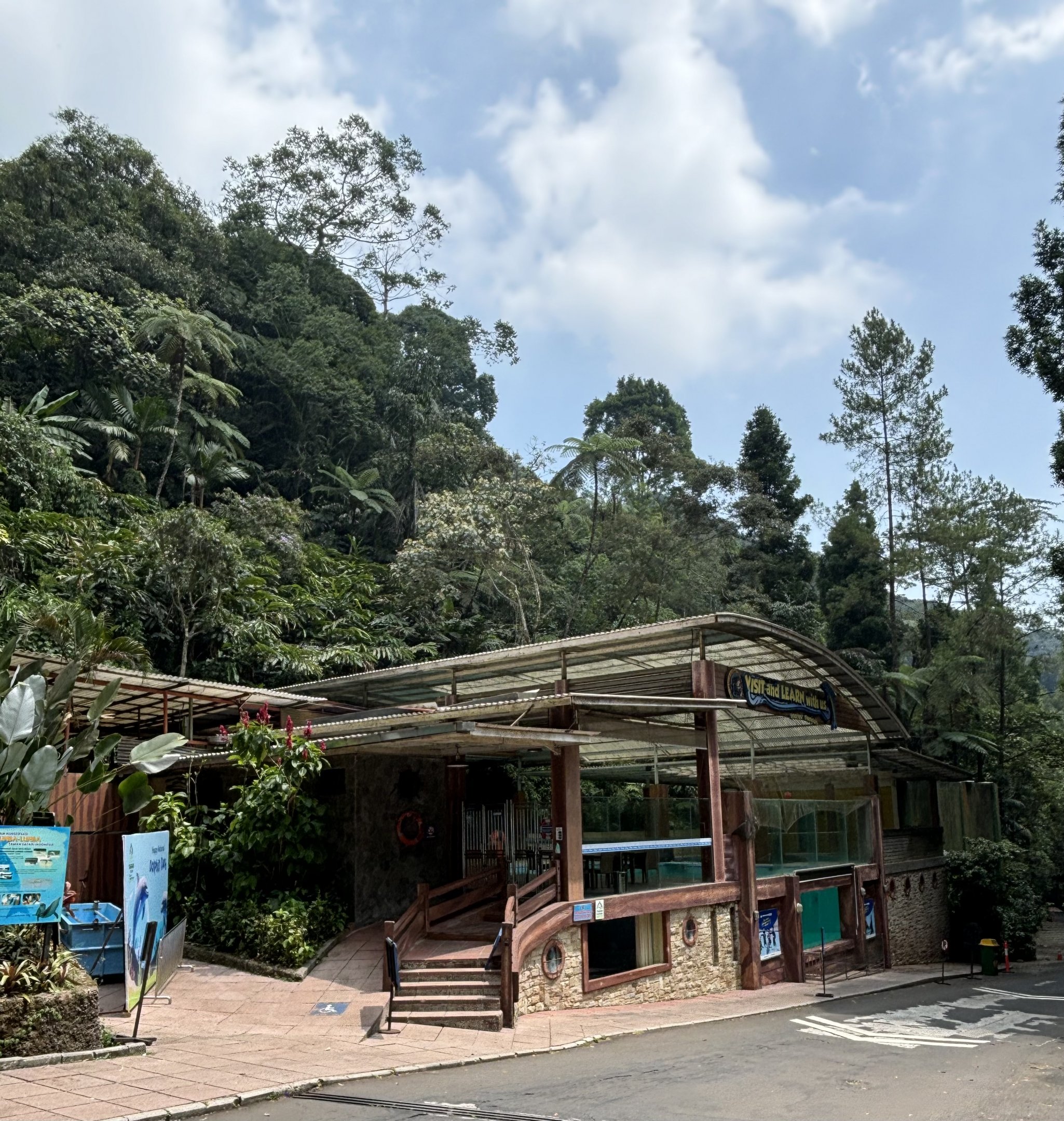 Dolphin Stadium in a jungle!