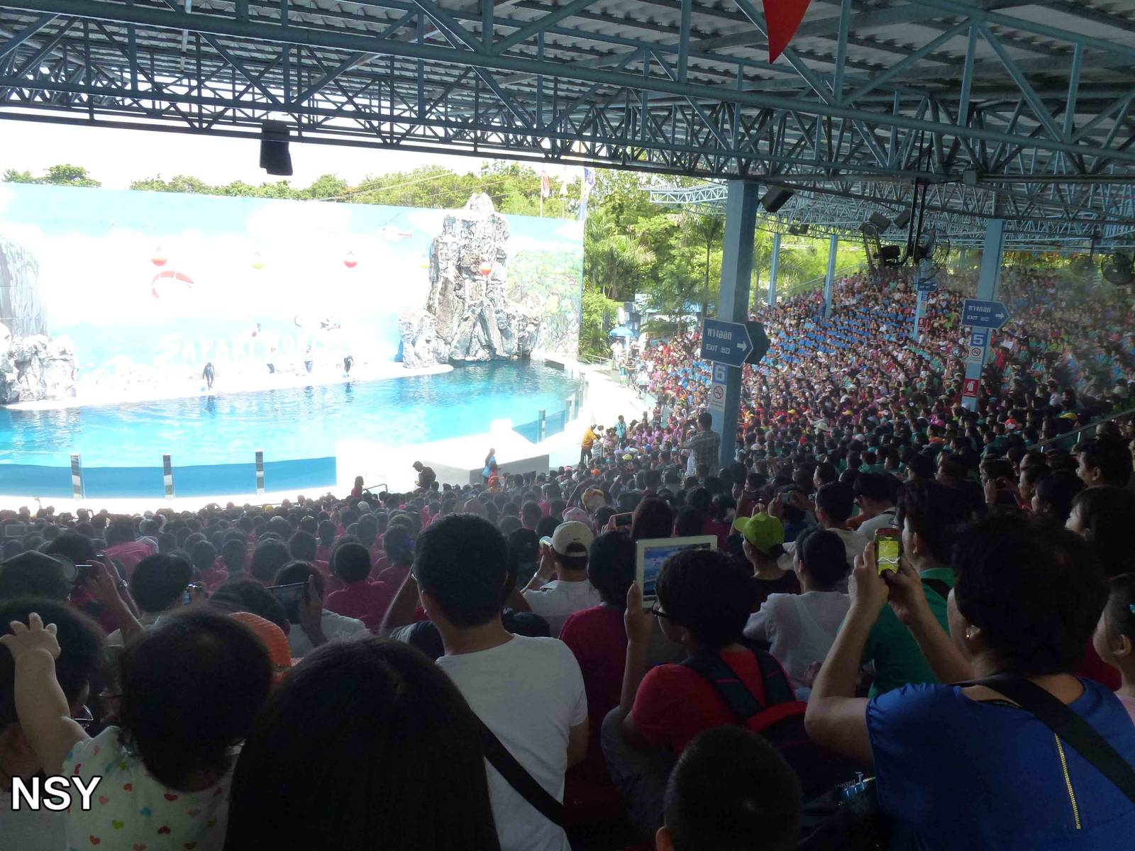 Dolphin stadium, June 2013.