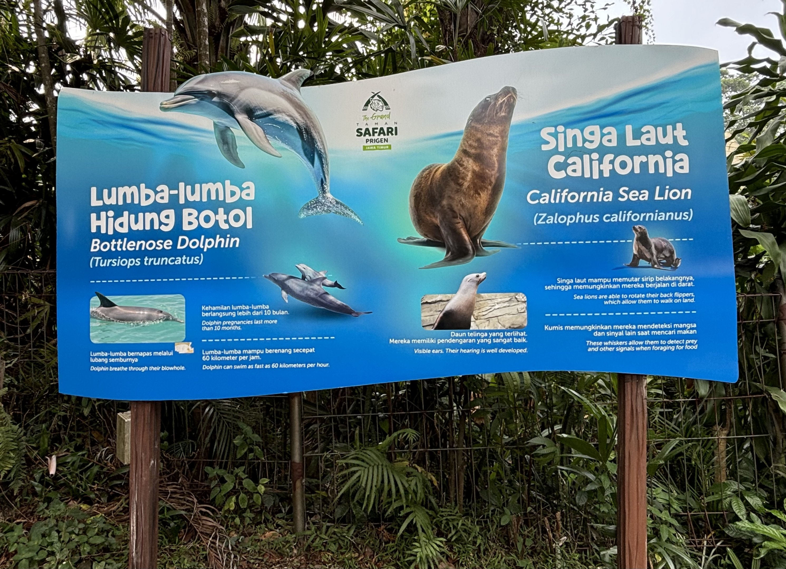 Dolphin Stadium Sign