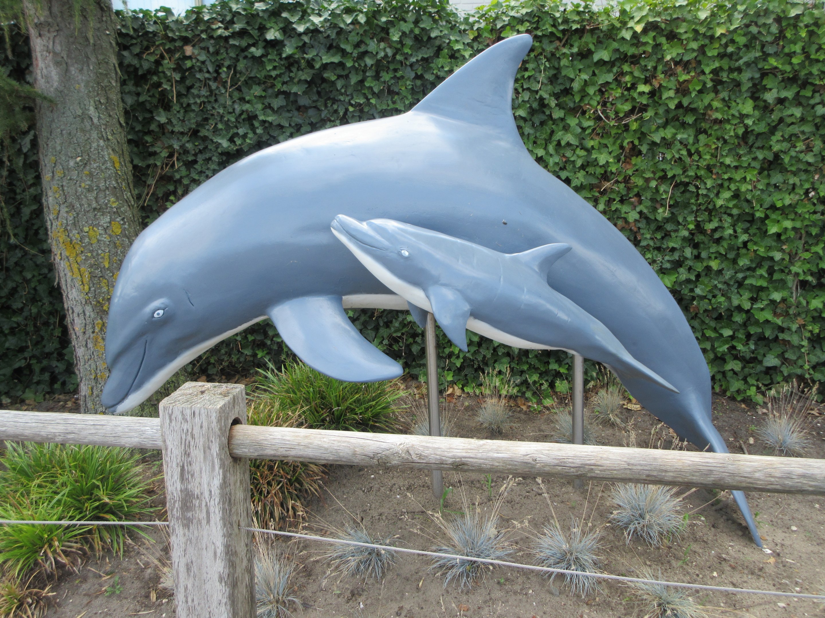 Dolphin Statues