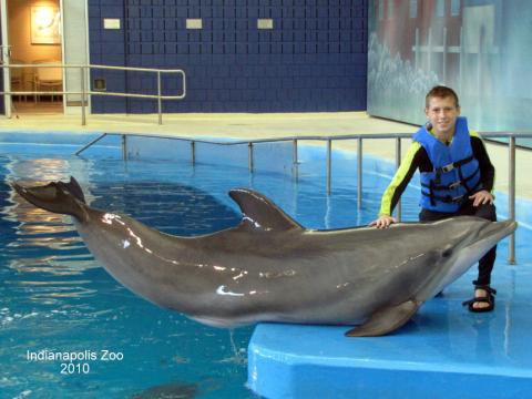 Dolphin Theater-Dolphin In-water Adventure