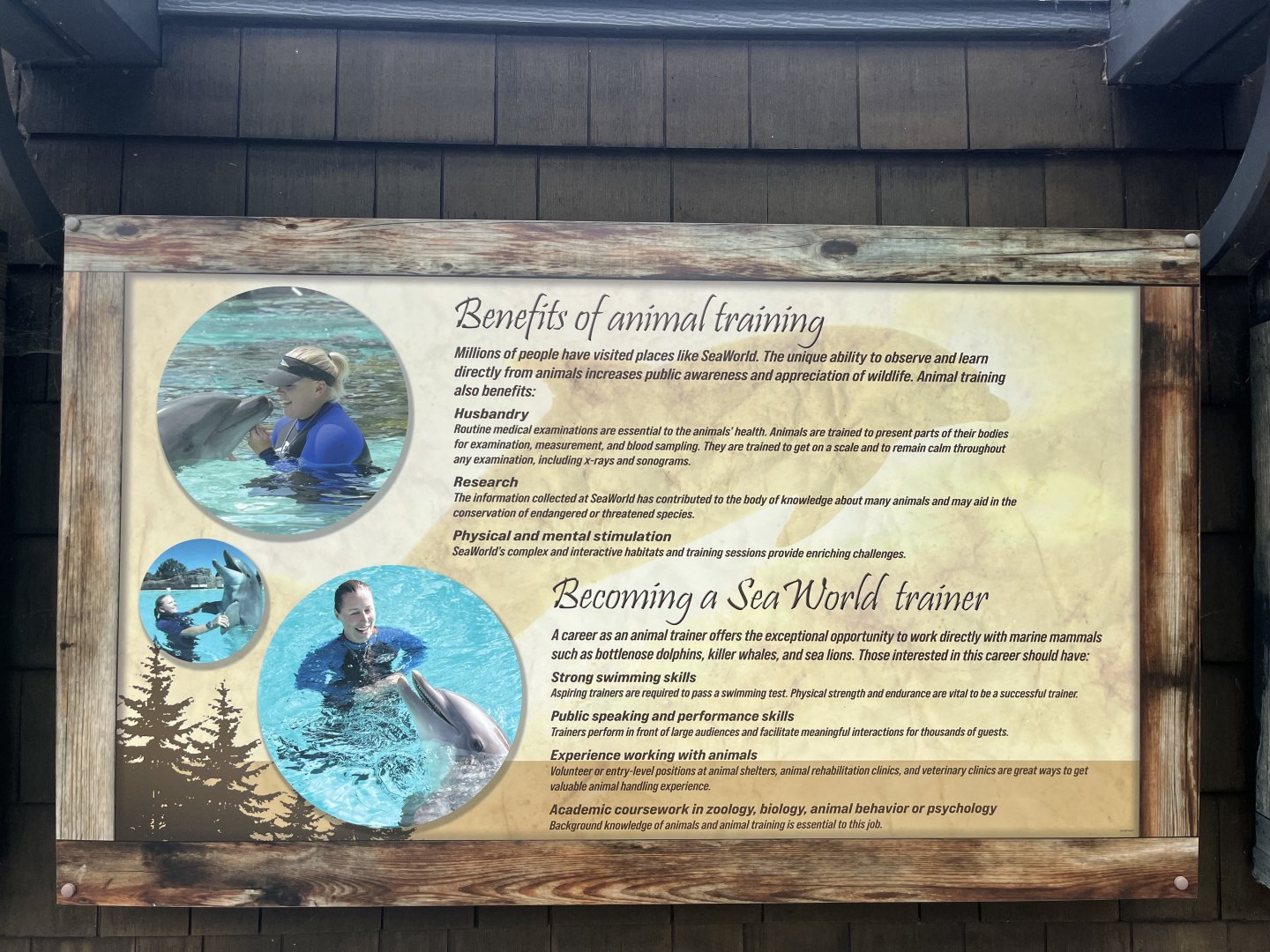 Dolphin Training Signage