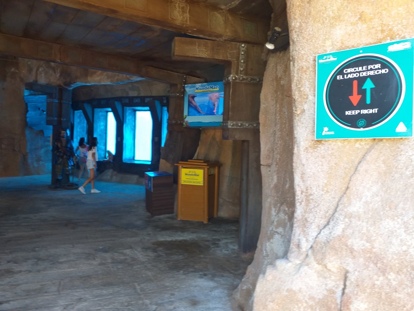 Dolphin underwater viewing area -MundoMar Benidorm (2021)