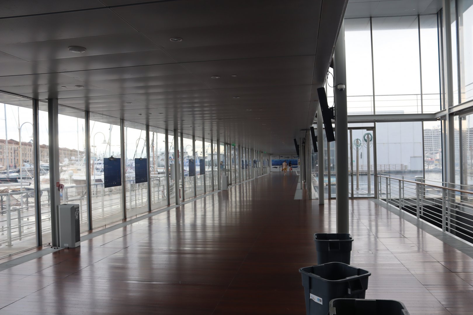 Dolphin Viewing Area - 24 June 2024