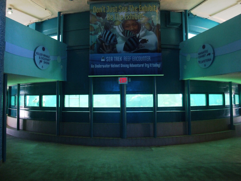 Dolphin Viewing Windows at Miami Seaquarium, 16/10/13