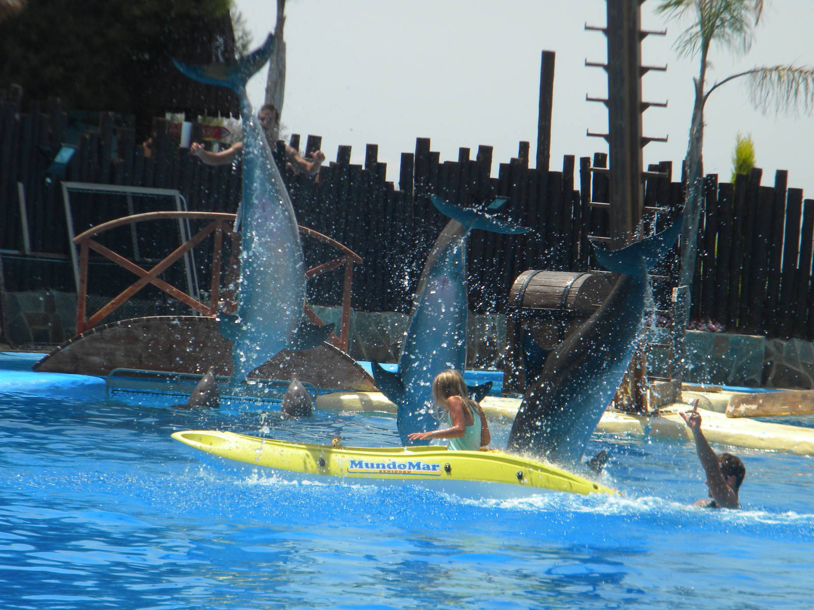 Dolphin visitor experience at Mundo Mar 01/08/11