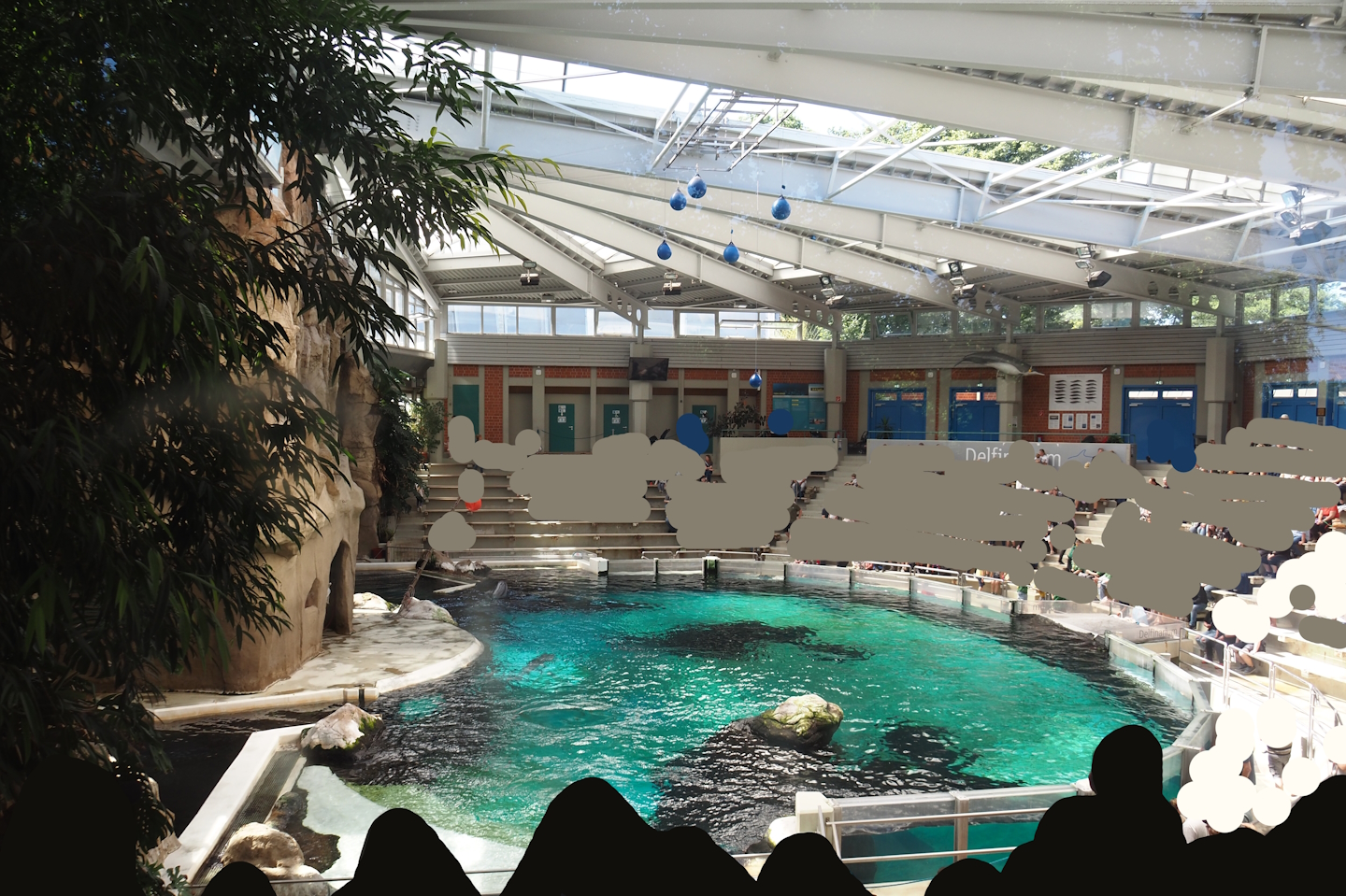 Dolphinarium, 2024-06-08