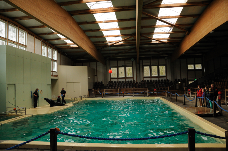 Dolphinarium at Allwetterzoo