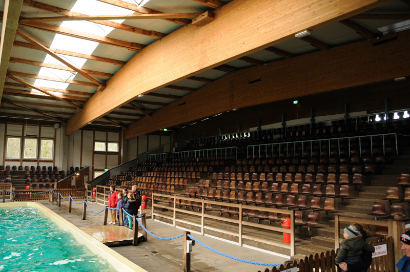 Dolphinarium at Allwetterzoo