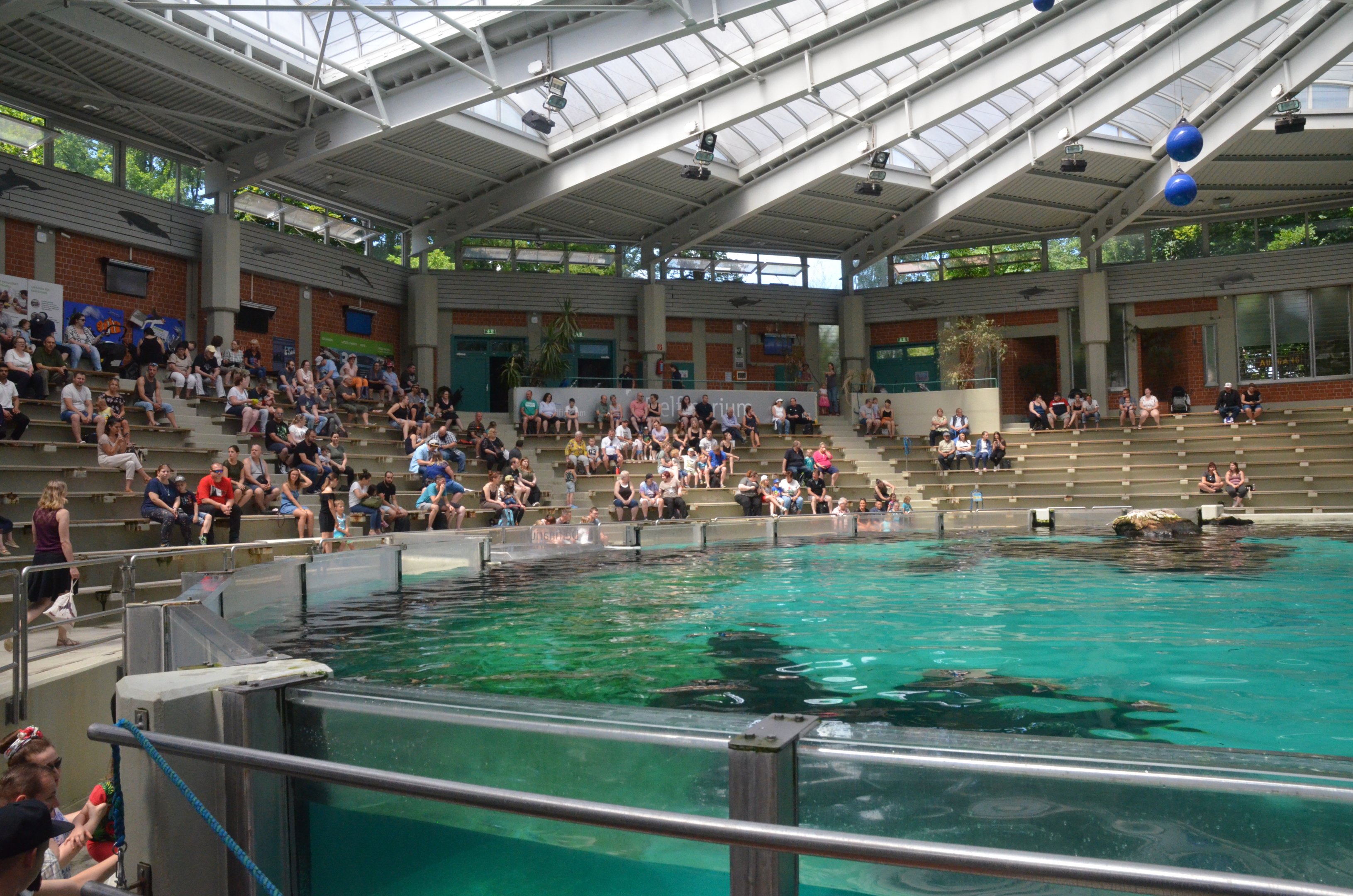 Dolphinarium at Duisburg, 17/06/19