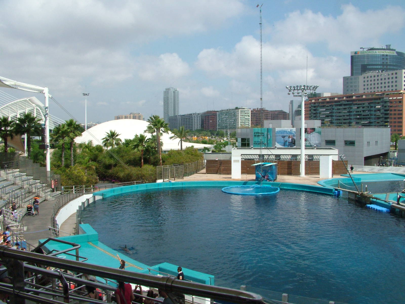 Dolphinarium at Oceanografic, 29/05/11