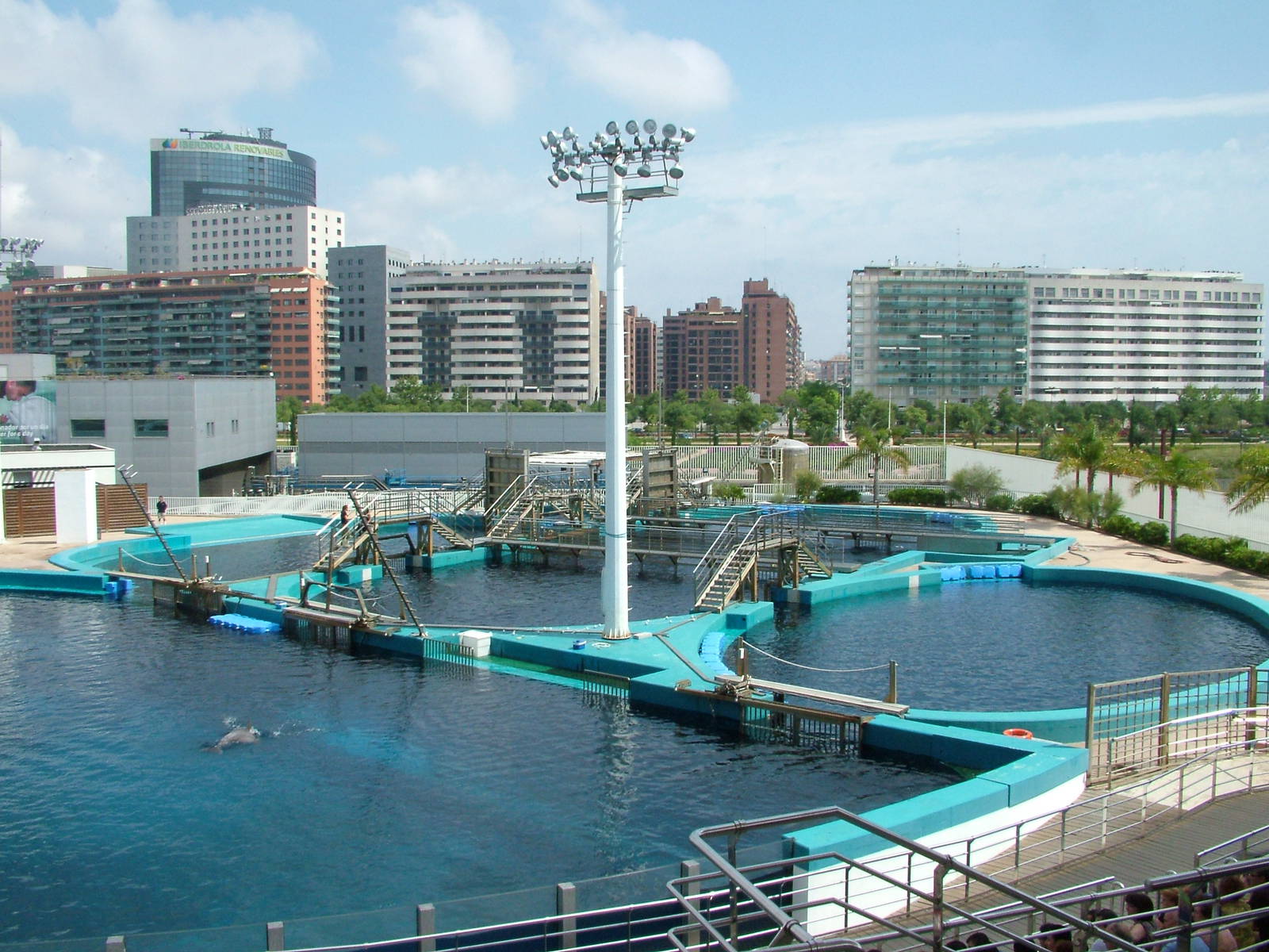 Dolphinarium at Oceanografic, 29/05/11