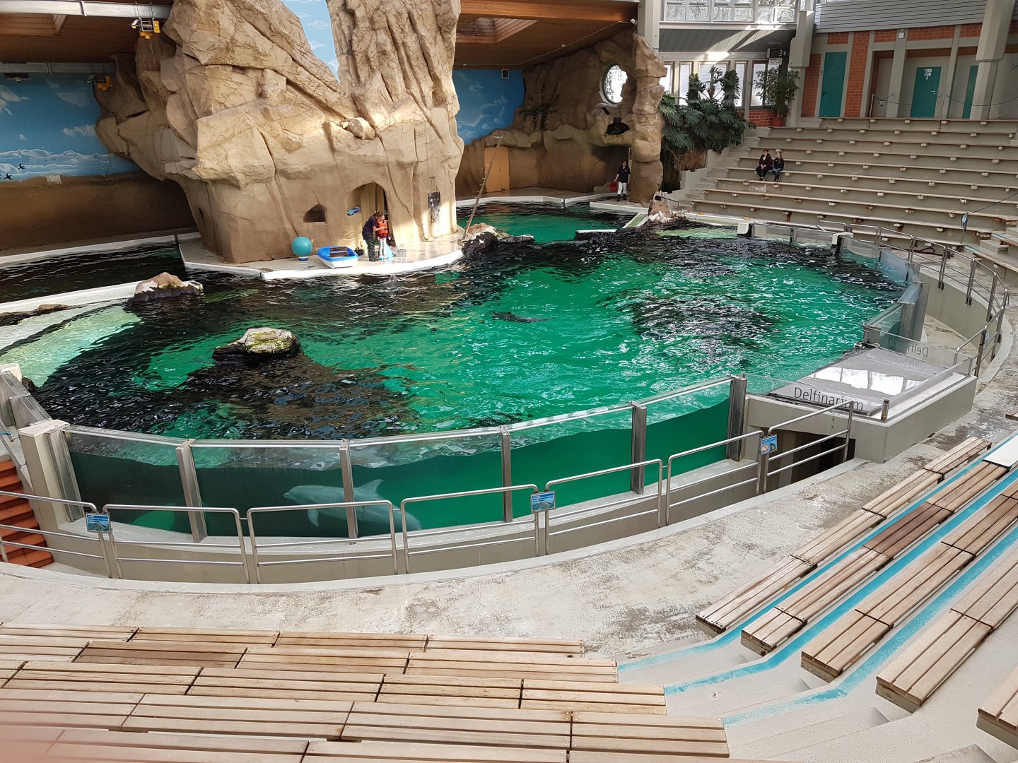 Dolphinarium interior
