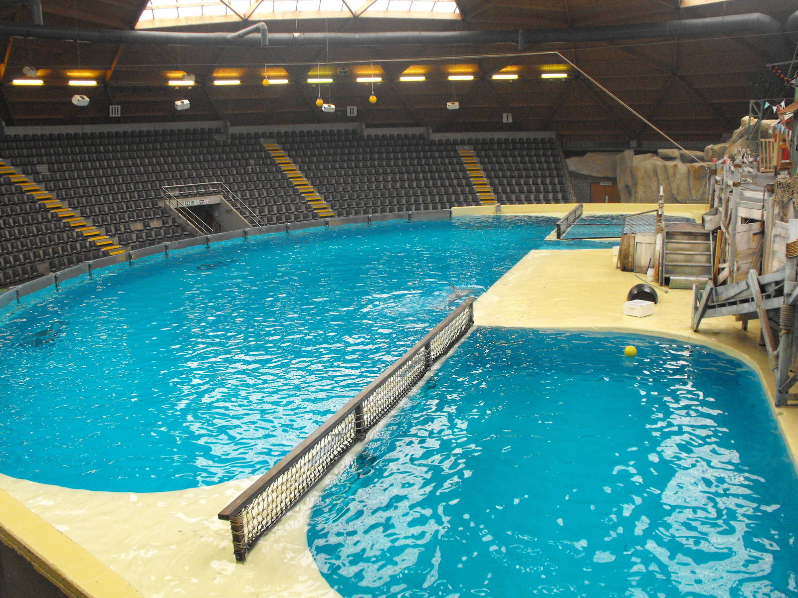 Dolphinarium