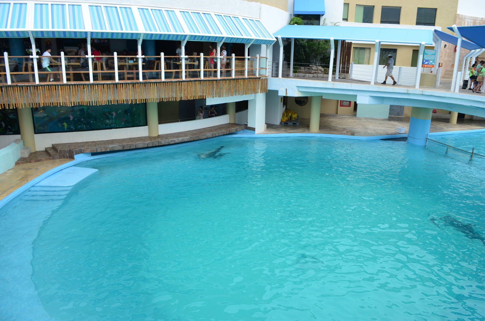 Dolphinarium