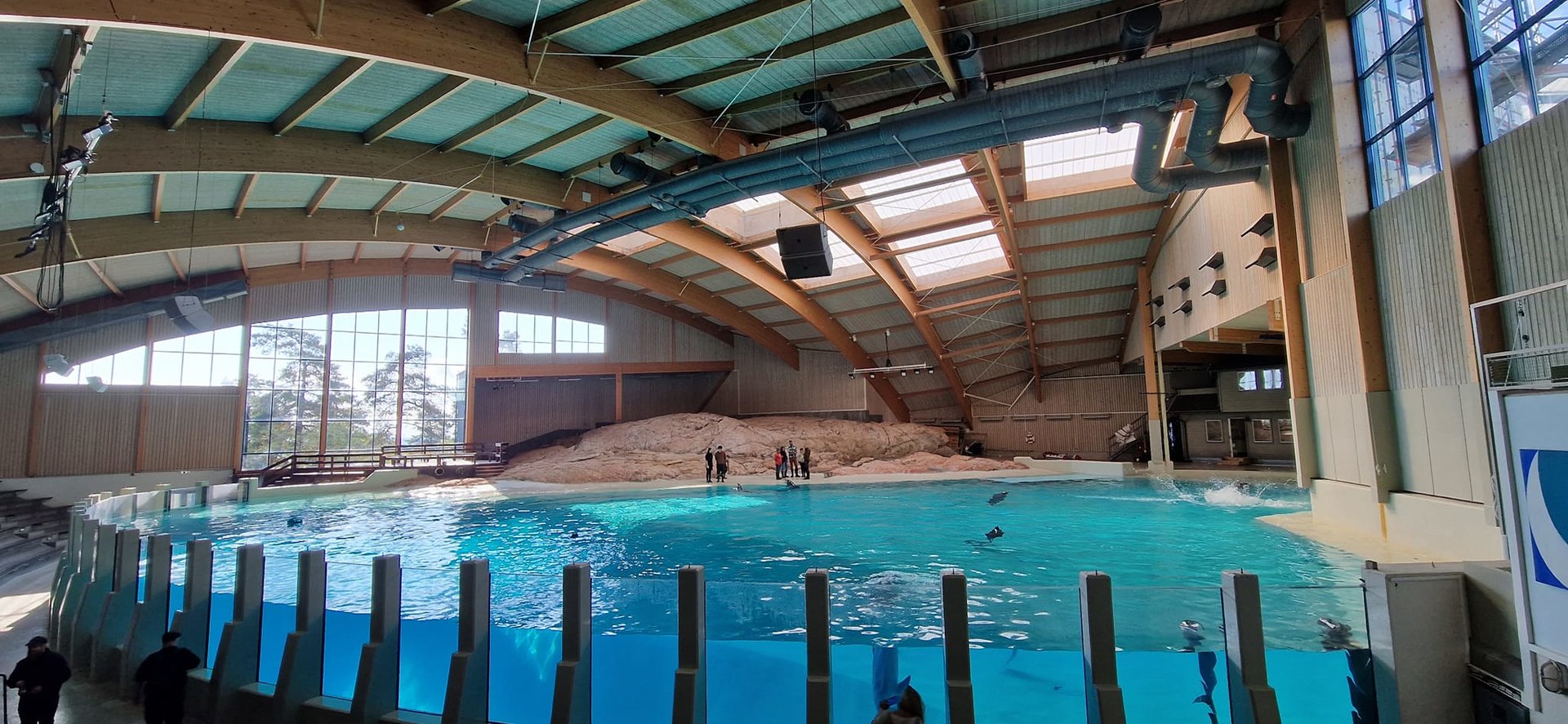 Dolphinarium