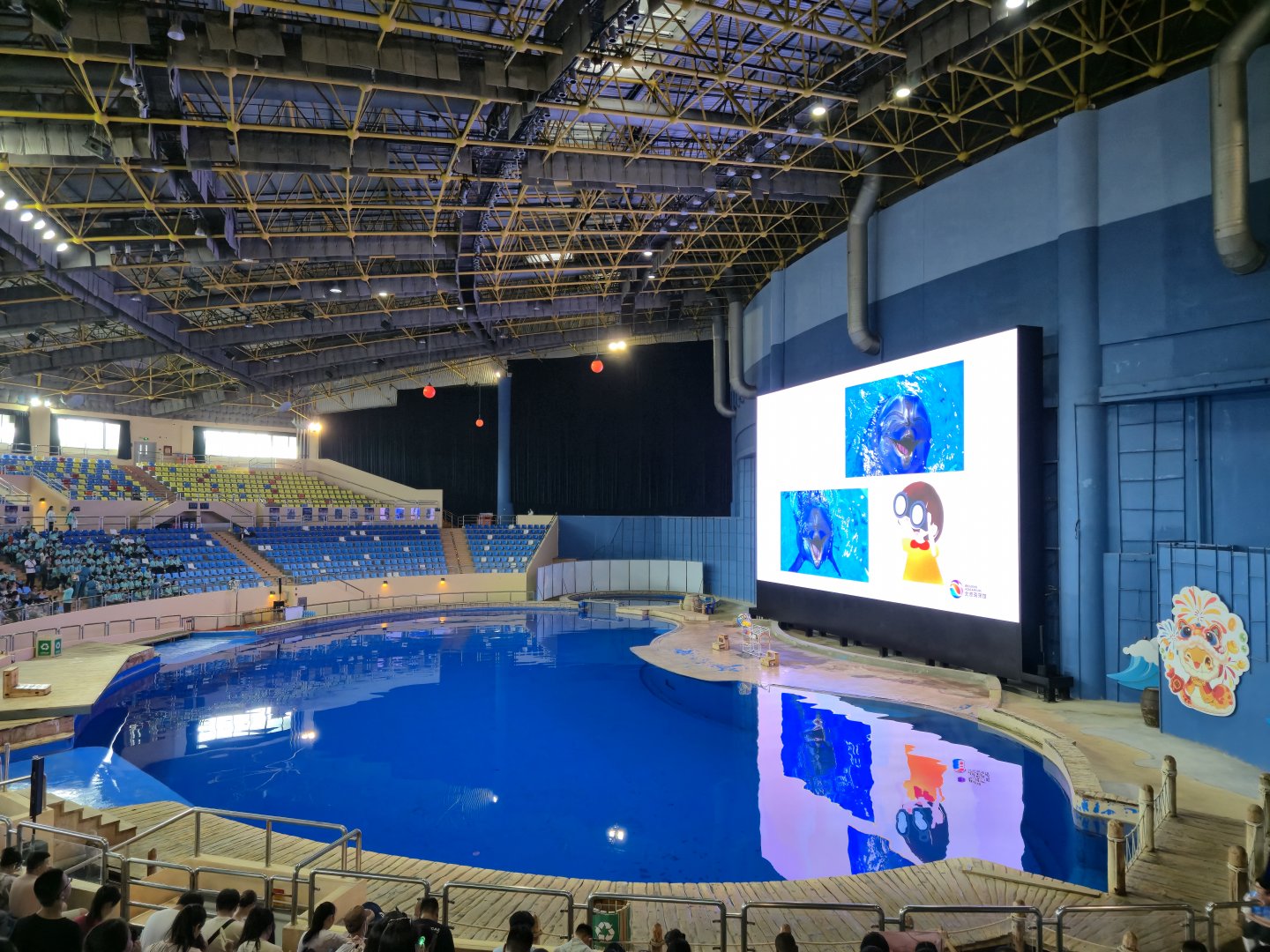 Dolphinarium