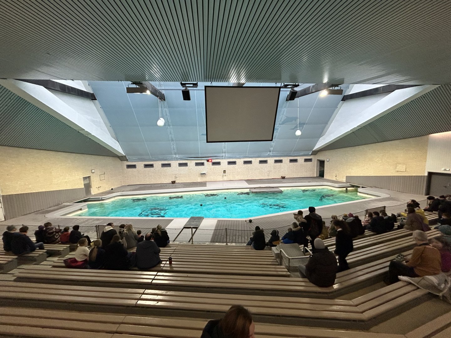 Dolphinarium