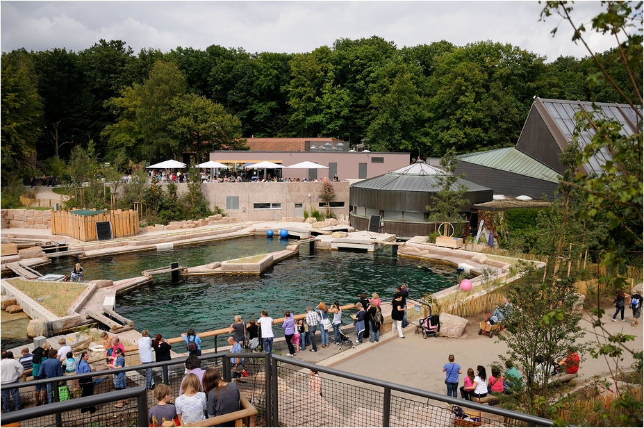 Dolphinlagoon at Nürnberg