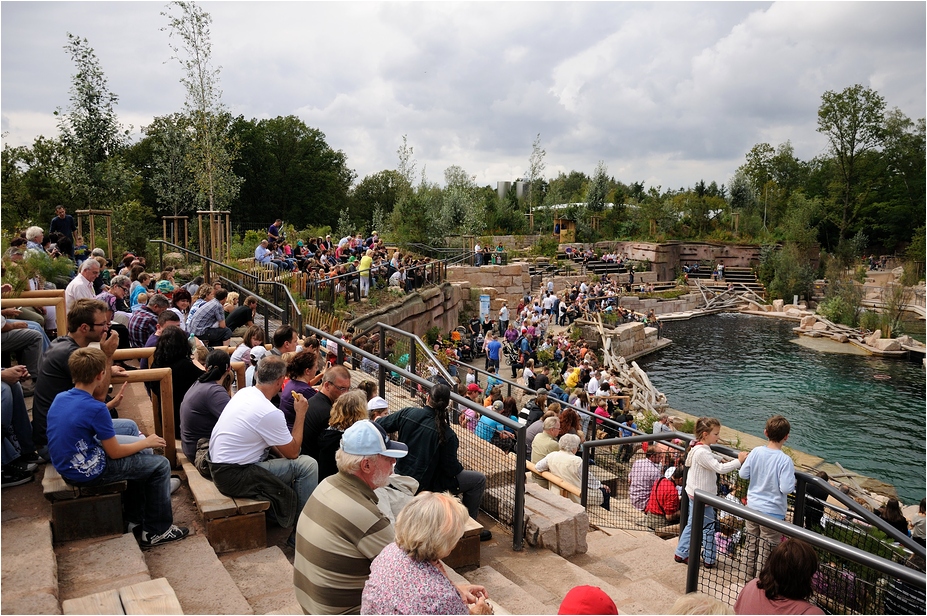 Dolphinlagoon at Nürnberg