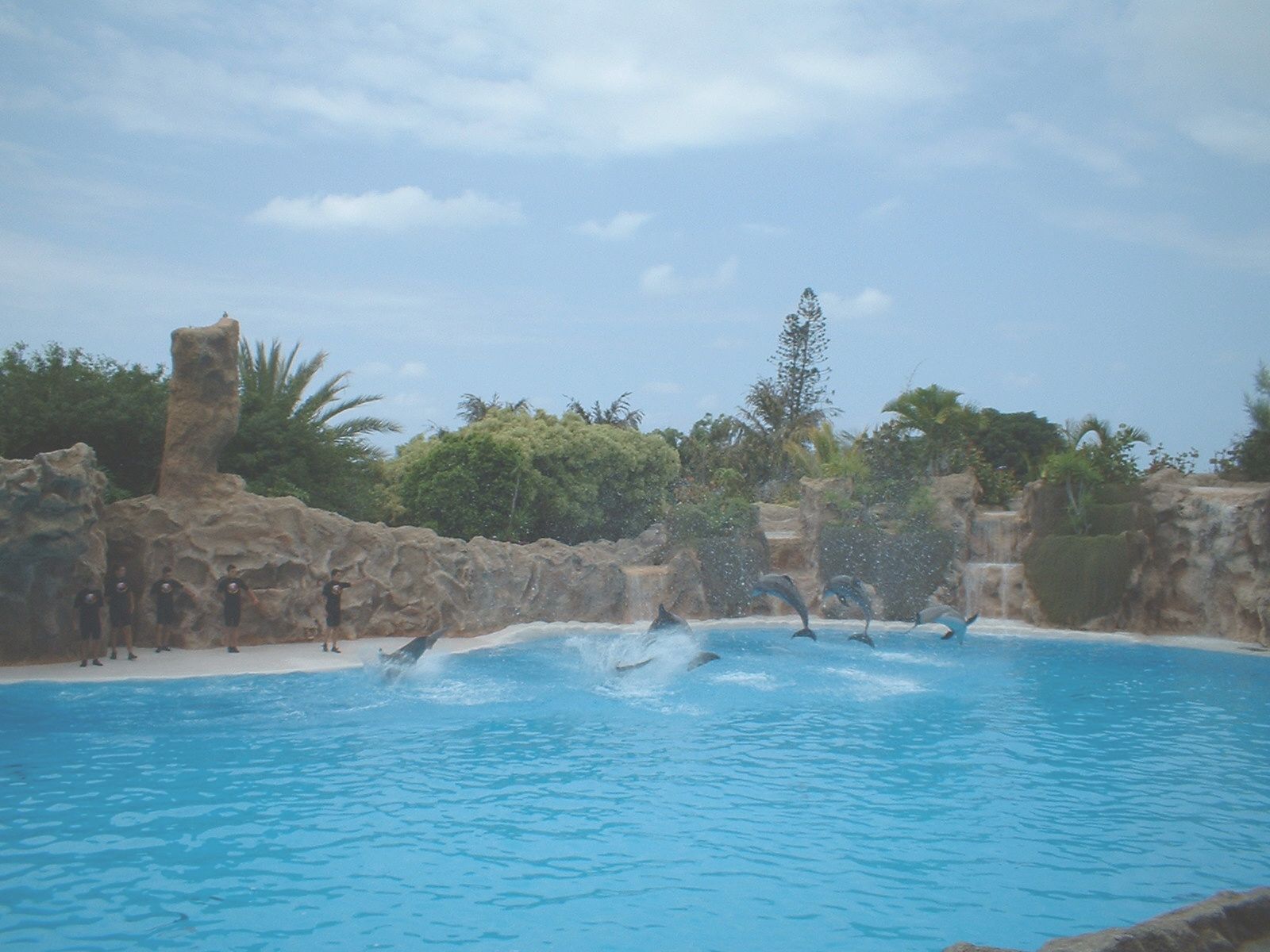 Dolphins at Loro Parque in Tenerife, 16 May 2004