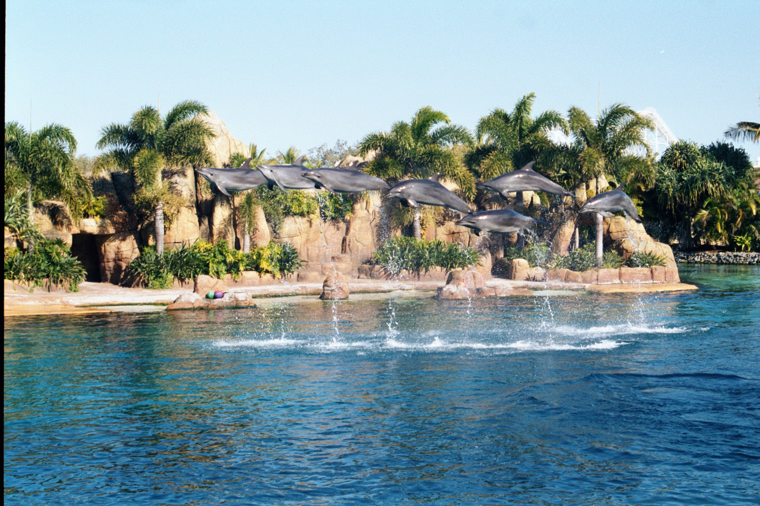 Dolphins do a fly-past - Sep 2002