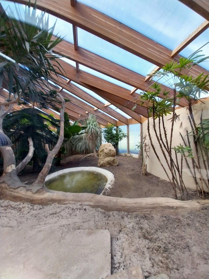 Dôme des espèces menacées - Komodo dragon enclosure