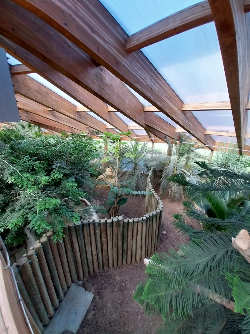 Dôme des espèces menacées - Komodo dragon enclosures