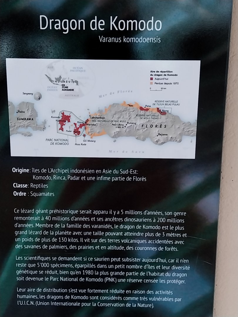 Dôme des espèces menacées - Komodo dragon species sign